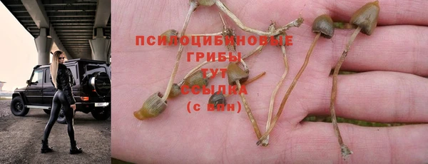 трава Арсеньев