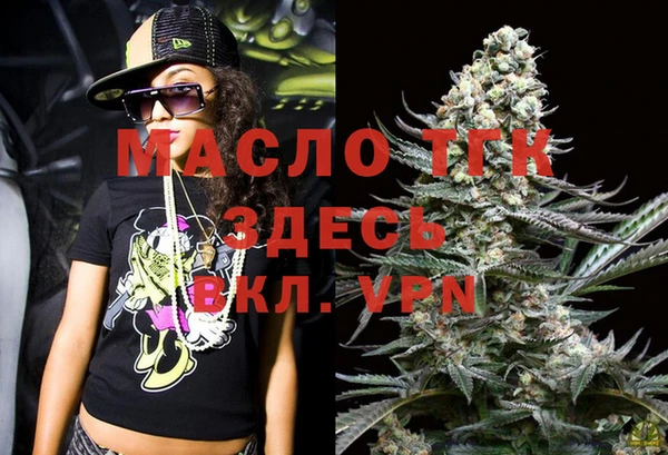 индика Осинники