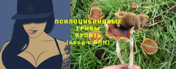 МДПВ Армянск